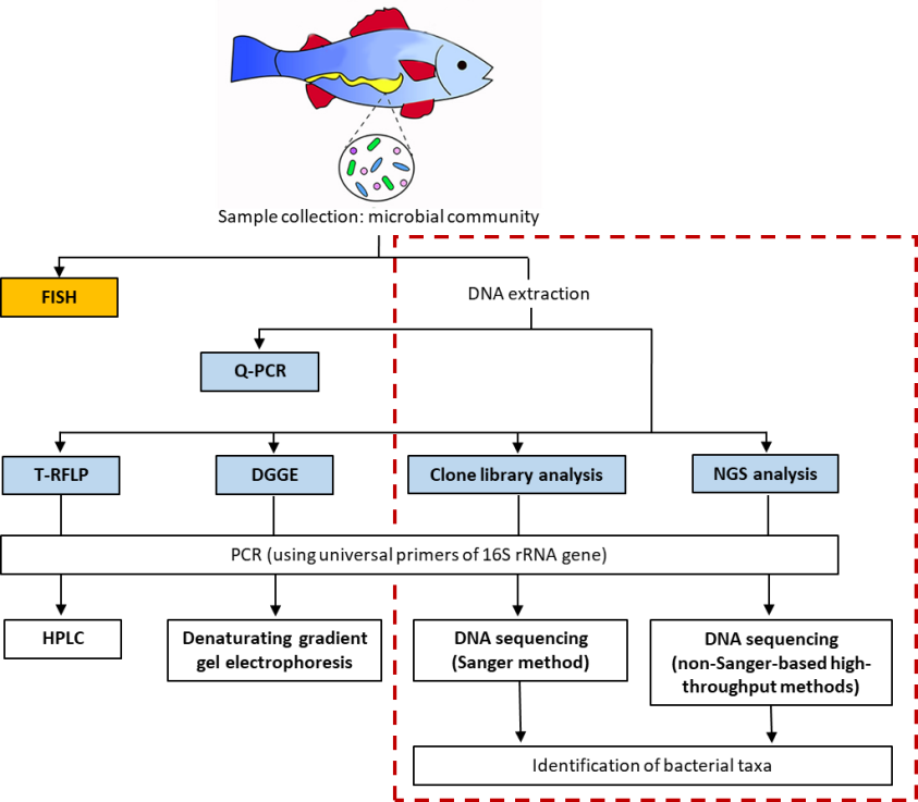 Scientific methods Improvement of fish gut health and gut microbiota