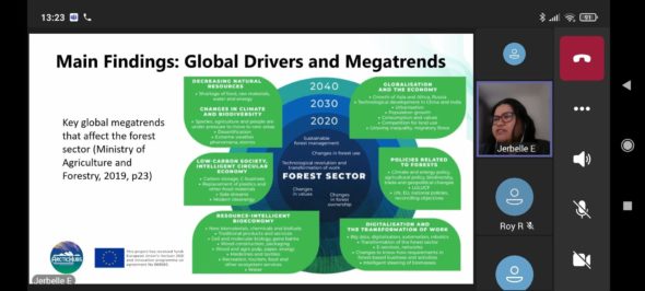 megatrends in forestry sector analysis
