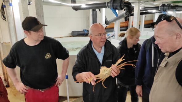 Visiting Norway King Crab Company with NOFIMA Researchers