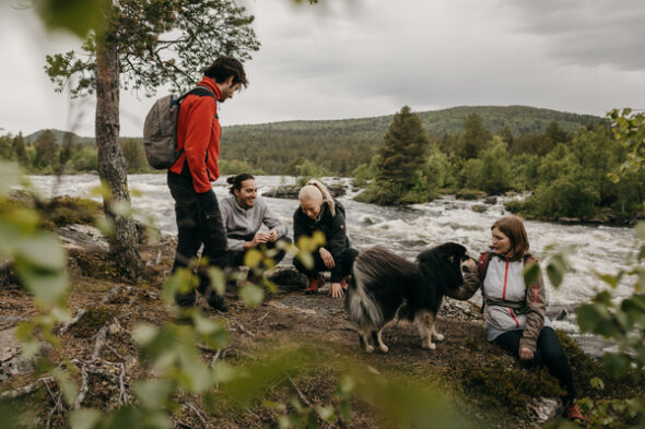 Retkeilijöitä ja koira kosken rannalla Inarin retkeilyalueella. Taustalla kesäistä metsää.