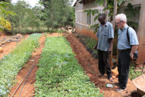 Pius Ngila and Professor Hannu Korhonen (MTT) discussing challenges of cabbage growing.