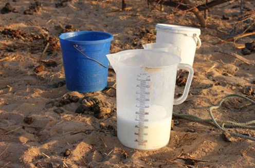 These measuring jugs were supplied by the project, and women have also started using them to measure milk for sale. Photo: Karen Marshall