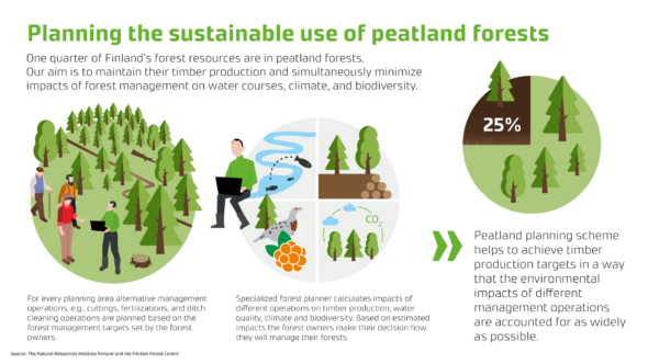 About 25% of Finland's forest resources are in peatland forests. The aim is to manage the timber production of peatland forests in a way that minimises the impact on water bodies, climate and biodiversity. For each stand in the planning area, measures such as felling, fertilisation and ditching are planned in accordance with the forest owners' objectives. The planner will calculate the impacts of different forest management practices on timber production, water, climate and biodiversity. Forest owners make decisions on the use of peatland forests on the basis of these assessments. The approach allows the production of peatland timber to be carried out in a way that takes the environmental impact of the measures into account as fully as possible. 